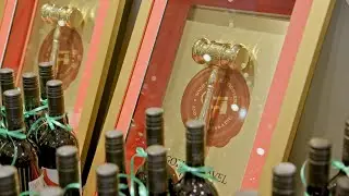 Golden Gavel Awards 2024 | South Australia