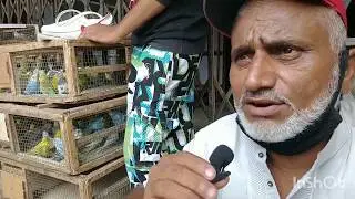 Lalukhait Sunday birds market Jall Rate (28-6-2020)