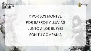 TU OLOR A LEÑA (vals étnico williche) - Autor, comopositor e instrumentos: Carolina Runioj.