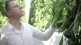 Voeden en Tuinbouw - in gesprek met Erik Splinter van TAS paprika's  en Sander Vermeer
