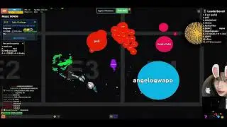 agma.io/self feed