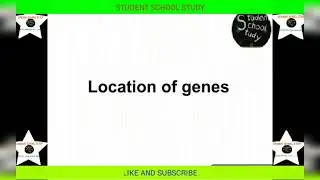 Location of genes