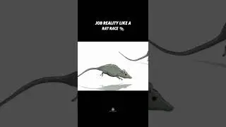 Job   Business   #viral #trending #business #reels #edit #job #luxury #lifestyle #2025goals #virel