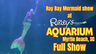 Ray Bay Mermaid Show (Full Show) at Ripley’s Aquarium of Myrtle Beach, SC | 2024