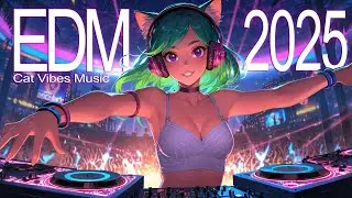 🎧 EDM | Night Beats: 🎵 Female DJ Rocks the Crowd 🔥💃 2025