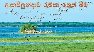 #srilanka anawilundawa ramsar wetland