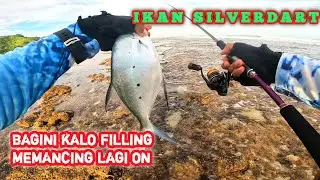‼️BEGINI KALO FILLING PEMANCING SANGAT KUAT ‼️ IKAN SILVERDART || PANTAI TIMBIS (4K)