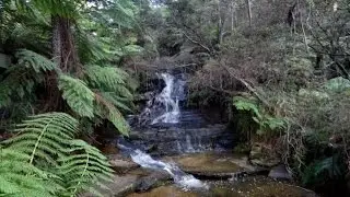 Blue Mountains Walks: Leura Cascades to Solitary Restaurant Round Walk NSW Australia