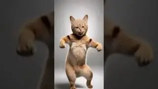 Fancy Cat vs. Robot Vacuum Showdown! 🤖🐱 #FunnyCat #CatVsTech #EpicBattle