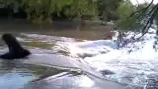Round Rock Memorial Park Flood