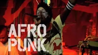 Saul Wiliams - -Tr(n)igger Live at the 2009 AFROPUNK Festival