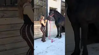 Le dijo a su marido que ella si podía hacer bailar al caballo