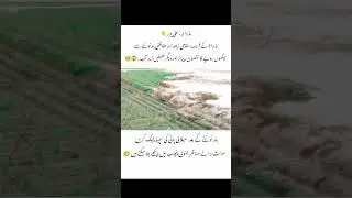 Flood hits Mid Wala, Alipur. #AlipurFloods #MidWala #PunjabFloods #SouthPunjab #Flood2025 #Pakistan
