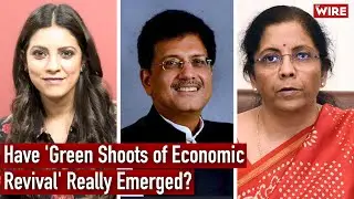 Have 'Green Shoots of Economic Revival' Really Emerged?  | The Wire Business Report
