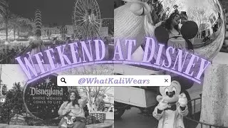 Weekend at DISNEY VLOG // Disneyland & Disney California Adventure