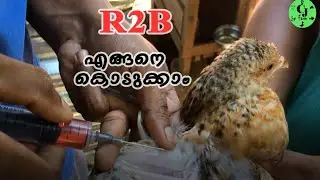 R2B vaccine malayalam|r2b വാക്‌സിൻ അറിഞ്ഞിരിക്കേണ്ട കാര്യങ്ങൾ|CJ Farm|mottakozhi