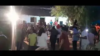 rieldans