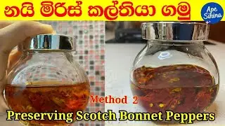 Preservatives Of Scotch Bonnet | Nai miris kal thaba ganima | Method of Preserving kochchi