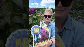 Perennial and Pollinator Month has arrived!