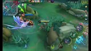 MOBILE LEGENDS PART 347 PROFESSIONAL CHANGE GAMEPLAY