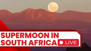 Supermoon 2023 LIVE | Supermoon South Africa LIVE | Supermoon Today LIVE | Supermoon News | N18L