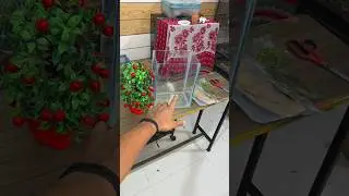 Part 1 | New Fish Tank setup 1 Feet | betta fish tank setup #shorts #fishtank #setup