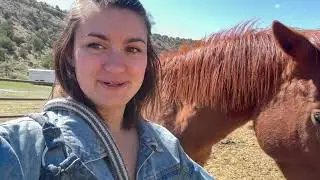 Annie's UNTAMED: a Wild Healing Journey