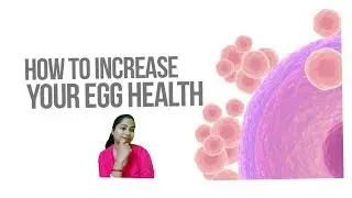 How to Improve Female Egg Health | Improve Egg Quality for Pregnancy | Women's Information