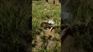 What happens when you kill the Mutant Lady #sonsoftheforest