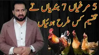 چالاک میزبان تے سادہ مہمان ہوگیا فر آمنہ سامنا  مکمل سنو چس آجائے گی سٹوری دی