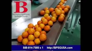 BPS Shrink Flow Wrapper System - Fruit from Barrington Packaging Systems Group