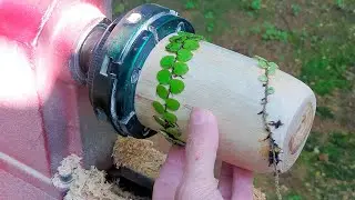Woodturning Idea for beginner - make a beautiful cup from this Wood 