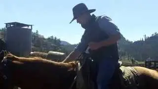 Horseback Riding 101 from Tarryall River Ranch