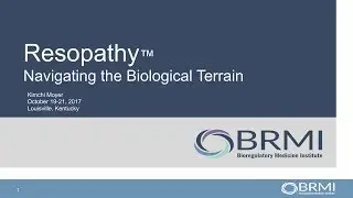 #BRMI2017: Kimchi Moyer, L.Ac. - Resopathy: Navigating the Biological Terrain