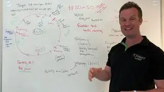 #50in50 Video 46 Suckler herd health plans