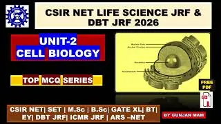 CELL BIOLOGY FOR IIT JAM BIOTECHNOLOGY ||CELL CYCLE IIT JAM BIOTECHNOLOGY || CELL BIOLOGY MCQ CSIR