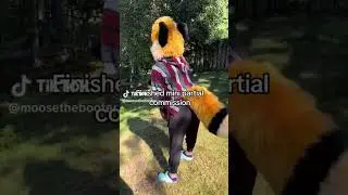 Fox Fursuit Mini Partial  #furry #furries #furrys #furryfandom #fursuit #fursuitmaker #fursuiting