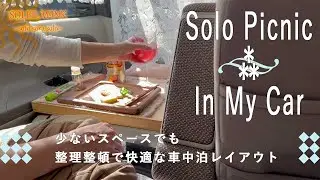 【車中ピクニック＊タント】狭くても快適に過ごせる｜整える車中泊レイアウト｜ベッドメーキング＊段差解消にプラスα｜おいしい楽しい宴の時間｜Camping Vlog｜Ep.8