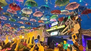 BICHO TERRA / PRÉ CARNAVAL 2026.