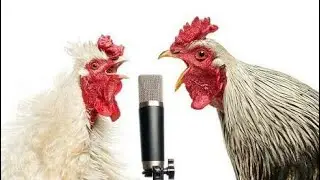 Siti Badriah Lagi Syantik Parody Ayam Lucu Banget