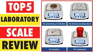Top 5 Best Laboratory Scale in 2024