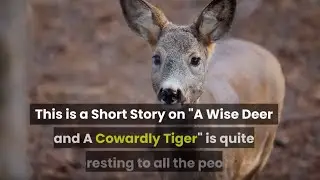 SHORT STORY : A Wise Deer and A Cowardly Tiger