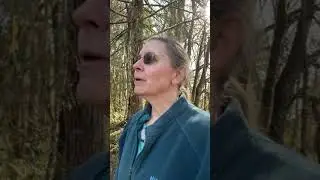 Field Ecology - project ideas