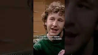 A ladder for moths #it crowd moment #shorts #subscribe