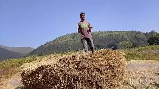 Danyam katttalu mariyu kuppa vese padhati tribal people's please subscribe and like share please 🌾🌾