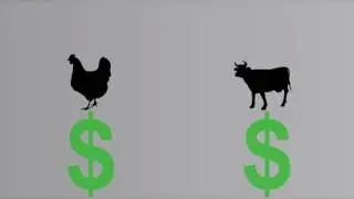 Understanding the Chained Consumer Price Index