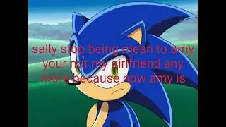 Almost Every SonAmy Story Ever