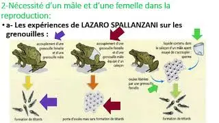 2AC- La reproduction chez les animaux (Partie 1 )