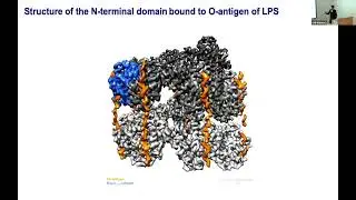 NGBS2022 Talk 3: Cryo-EM to Understand physiological processes in bacterial cells - Tanmay Bharat