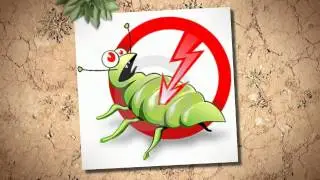 Pest Control Manhattan Beach CA-(888) 458-0008
